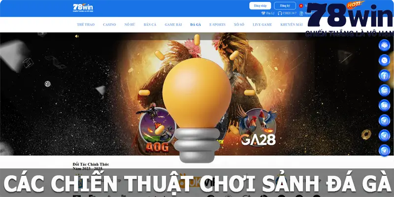 Các chiến thuật chơi đá gà 78win hiệu quả cho người tham gia