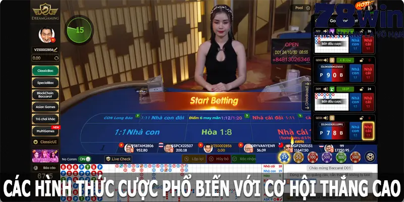 Các hình thức cược phổ biến với cơ hội thắng cao